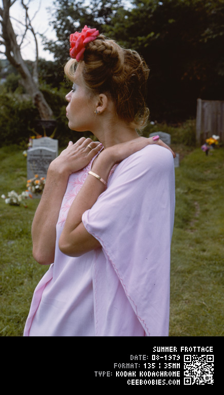 Summer Frottage, 1979-08, KODAK, Kodachrome