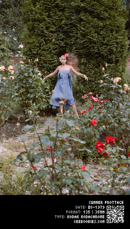 Summer Frottage, 1979-08, KODAK, Kodachrome
