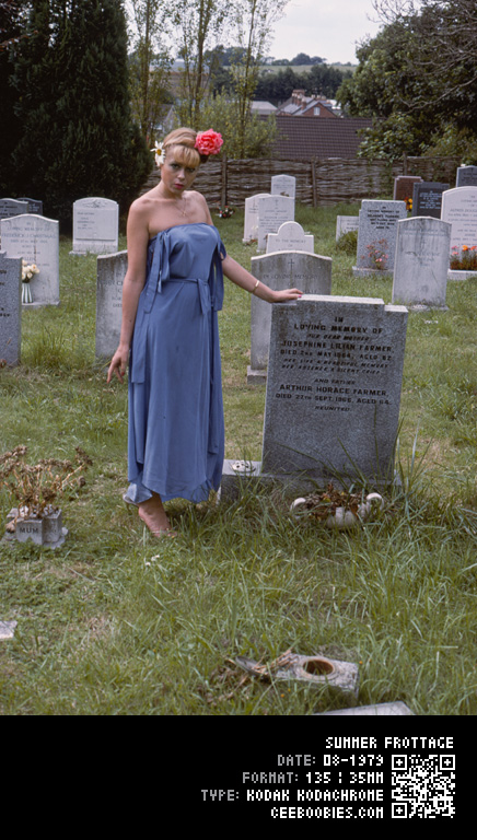 Summer Frottage, 1979-08, KODAK, Kodachrome