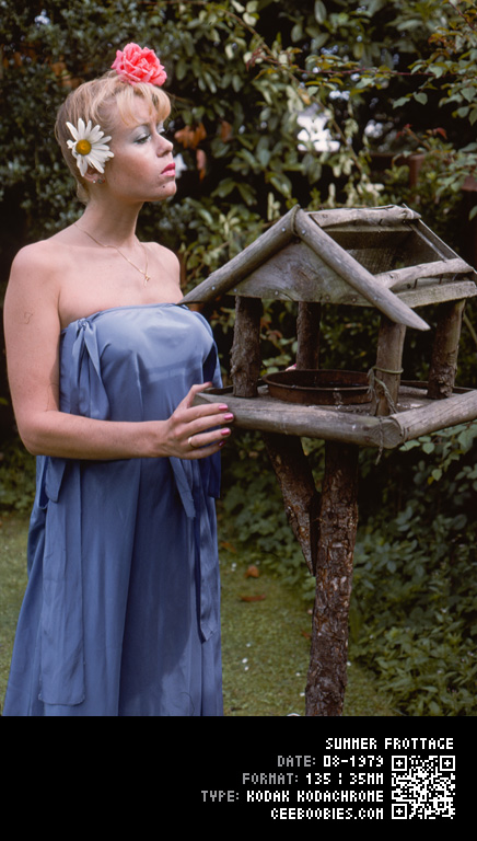Summer Frottage, 1979-08, KODAK, Kodachrome