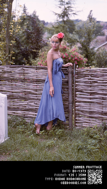 Summer Frottage, 1979-08, KODAK, Kodachrome