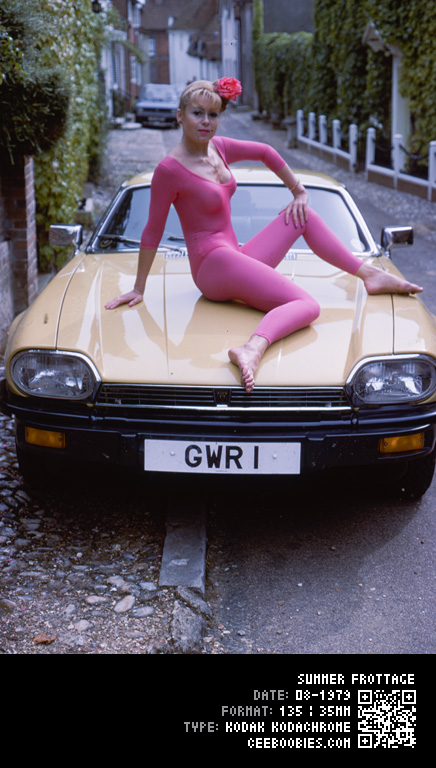Summer Frottage, 1979-08, KODAK, Kodachrome