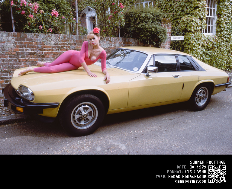 Summer Frottage, 1979-08, KODAK, Kodachrome