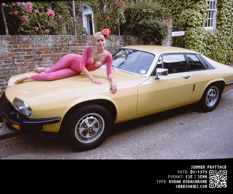 Summer Frottage, 1979-08, KODAK, Kodachrome