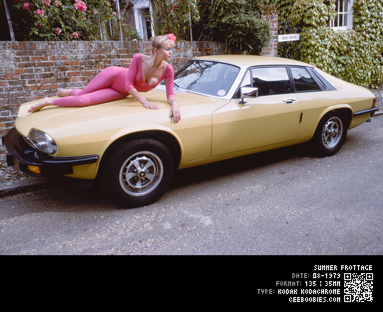 Summer Frottage, 1979-08, KODAK, Kodachrome