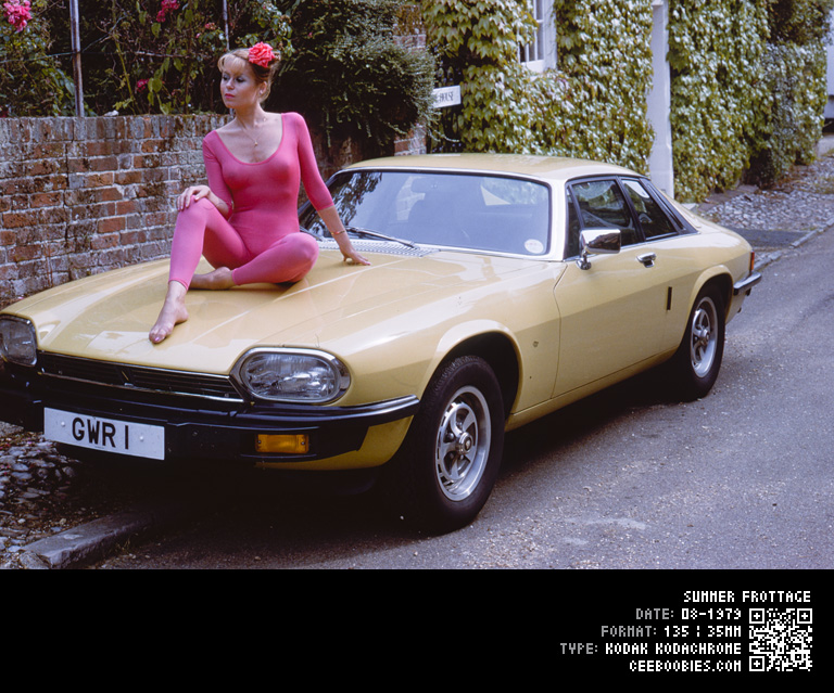 Summer Frottage, 1979-08, KODAK, Kodachrome