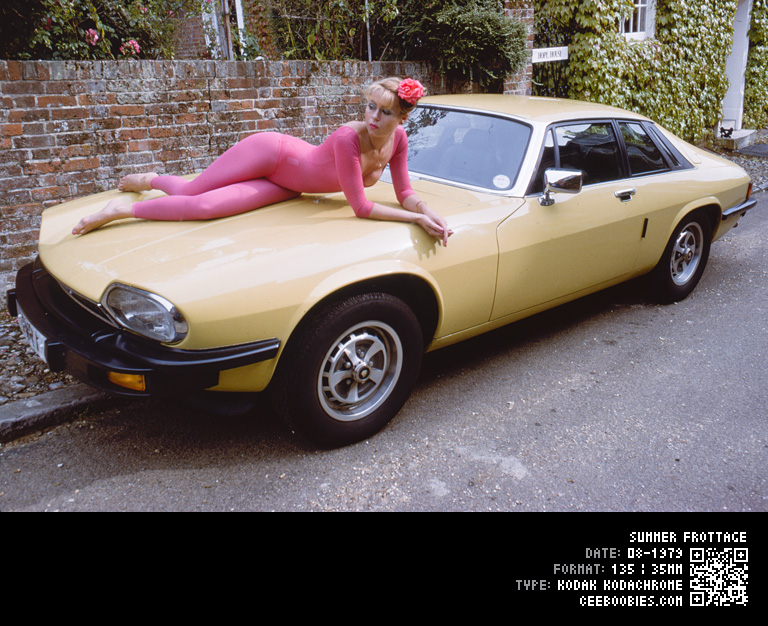Summer Frottage, 1979-08, KODAK, Kodachrome